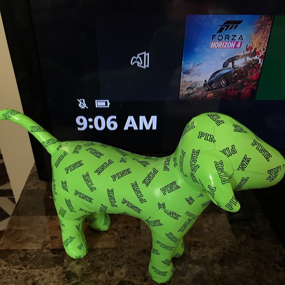 victoria’s Secret PINK neon green dog